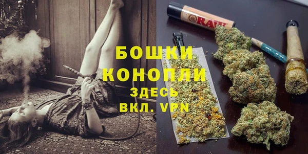 МДМА Новозыбков