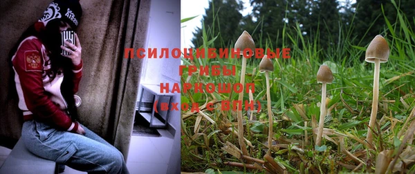 МДМА Новозыбков