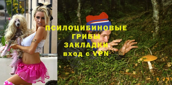 мдпв Новокубанск