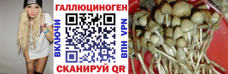 закладки  mega ТОР  Псилоцибиновые грибы Psilocybe  Большой Камень 