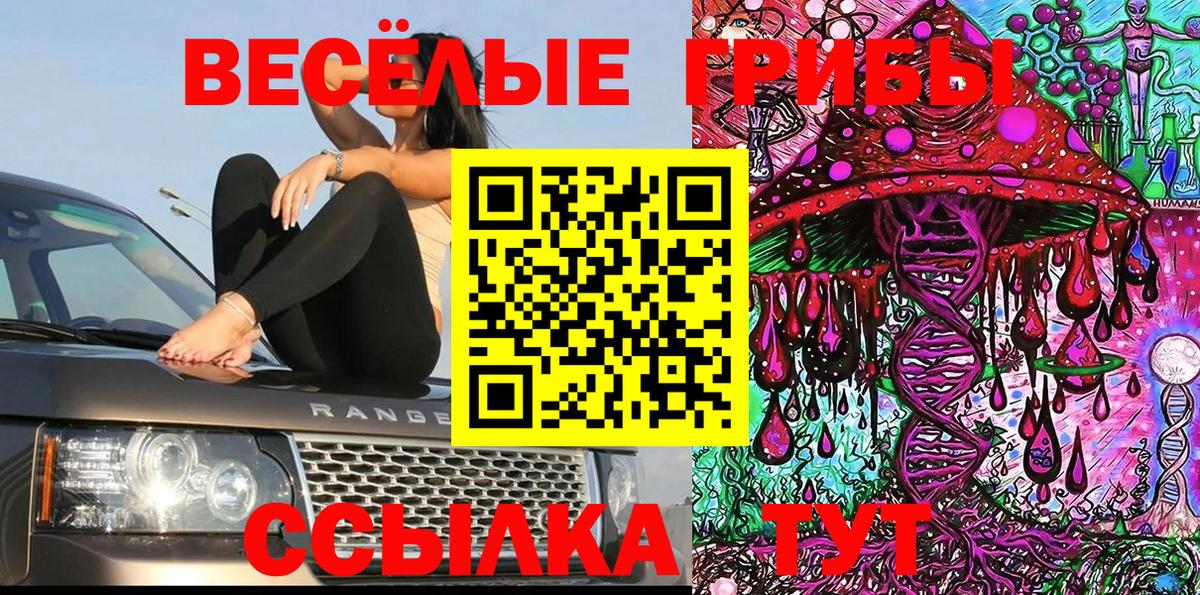 Псилоцибиновые грибы прущие грибы Большой Камень