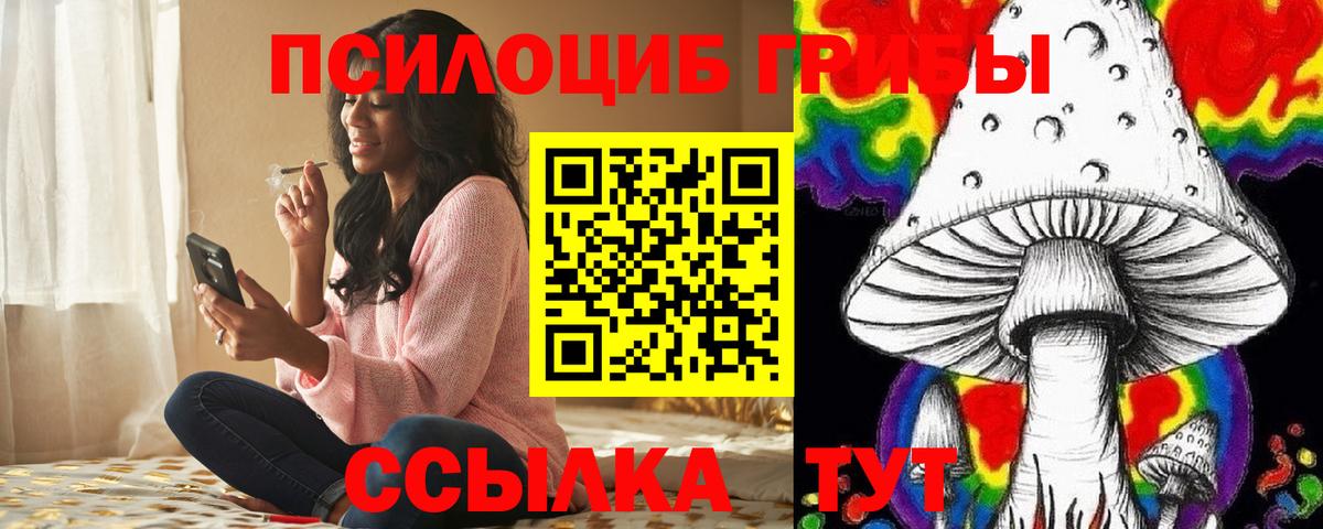 Большой Камень  Галлюциногенные грибы MAGIC MUSHROOMS  Вход с VPN 